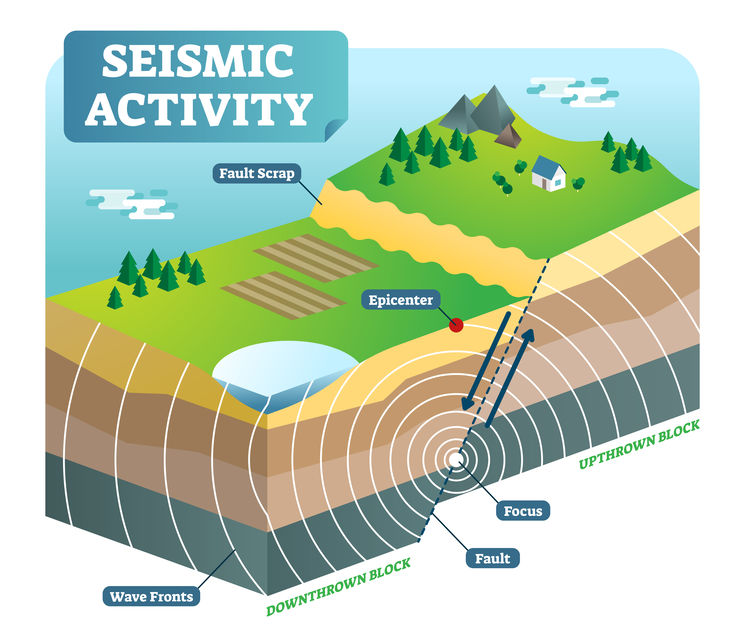 Seismic Waves